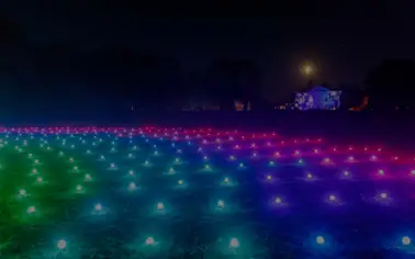 Luminate at Coombe Abbey