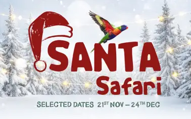 Santa Safari