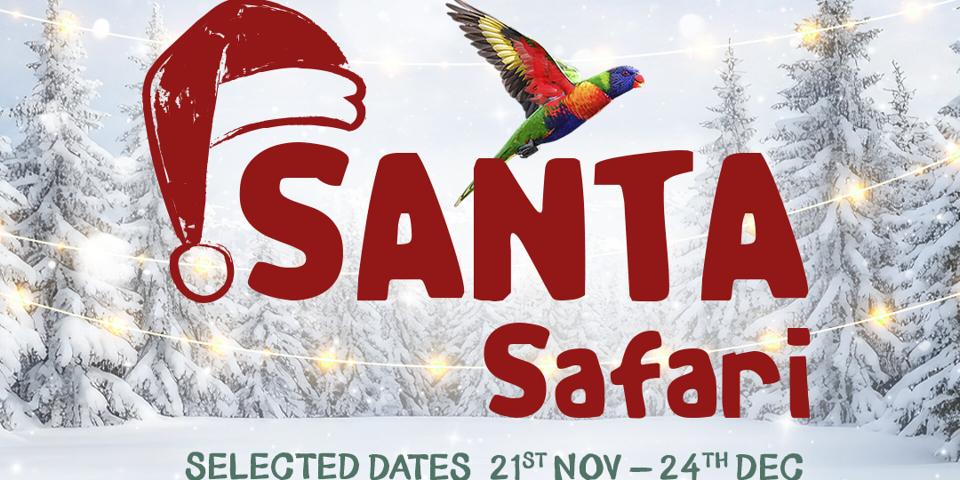 Santa Safari