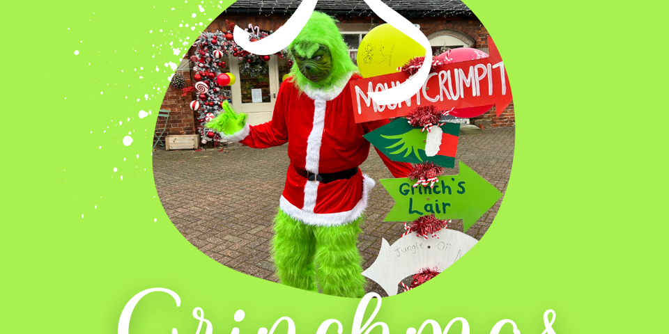 Grinch Story Session