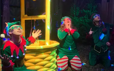 Christmas at Mini Meadows Farm
