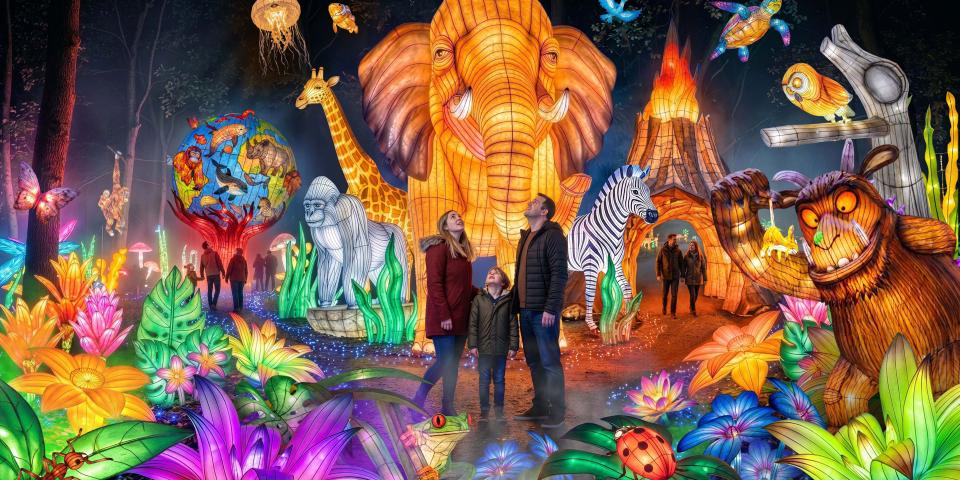 Lanterns of the Wild